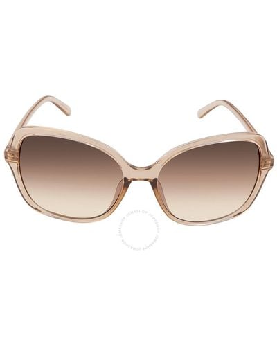 Calvin Klein Gradient Butterfly Sunglasses - Pink
