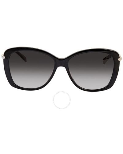 Longchamp Gradient Butterfly Sunglasses Lo616s 005 56 - Black
