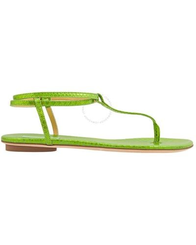 Giannico Kai Flip Flops Leather Flats - Green