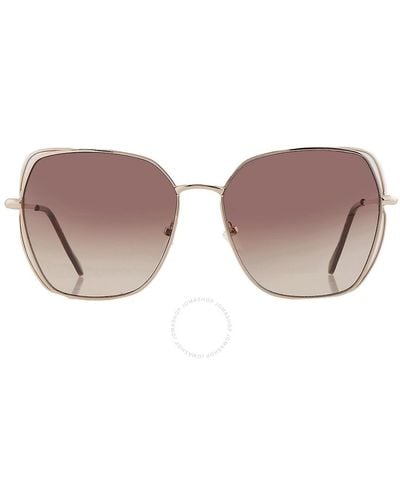 Guess Factory Gradient Brown Browline Sunglasses Gf0416 32f 60