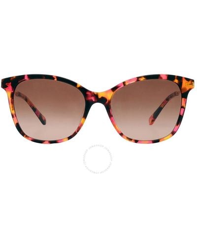 Kate Spade Gradient Butterfly Sunglasses Dalila/s 0086/ha 54 - Brown