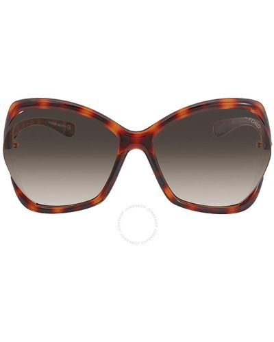 Tom Ford Astrid Gradient Roviex Butterfly Sunglasses - Brown