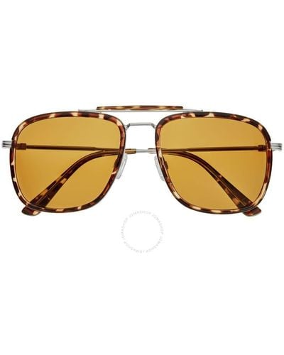 Breed Tortoise Pilot Sunglasses Bsg068c3 - Brown
