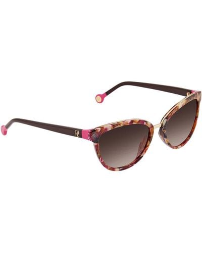 Carolina Herrera Borwn Cat Eye Sunglasses  01gt 54 - Brown