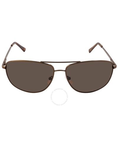 Calvin Klein Navigator Sunglasses Ck19137s 200 63 - Brown