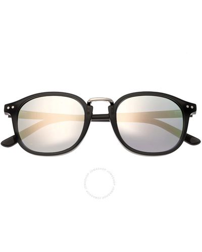 Sixty One Champagne Gray Sunglasses - Brown