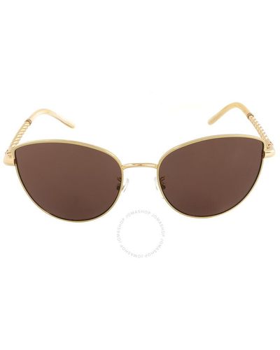 Tory Burch Solid Brown Cat Eye Sunglasses