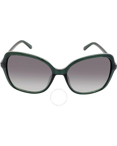 Calvin Klein Gradient Butterfly Sunglasses Ck19561s 360 57 - Brown