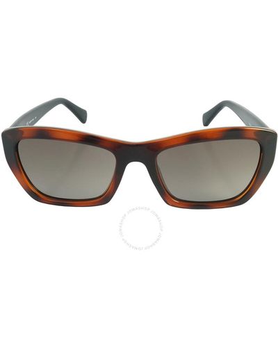 Ferragamo Cat Eye Sunglasses Sf958s 214 - Brown