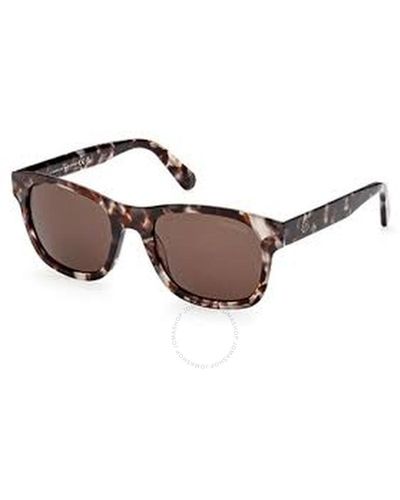 Moncler Square Sunglasses Ml0192-f 55e 55 - Brown