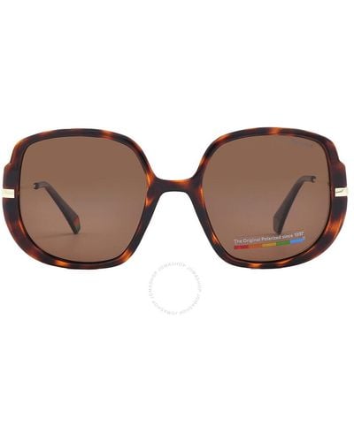 Polaroid Bronze Butterfly Sunglasses Pld 6181/s 0086/sp 53 - Brown