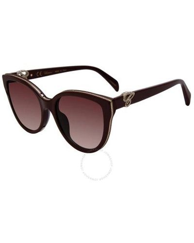 Chopard Brown Gradient Cat Eye Sunglasses Sch317s 09fh 55