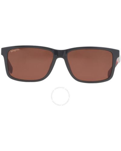 Ferragamo Brown Rectangular Sunglasses Sf938s 023 57