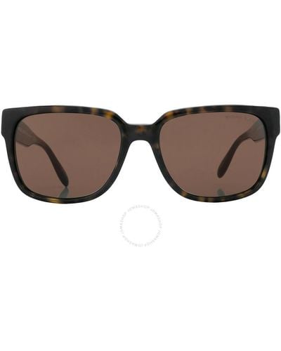 Michael Kors 0mk2188 Sunglasses Dark Tortoise/brown