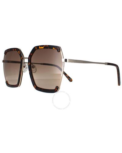 Guess Factory Brown Gradient Butterfly Sunglasses Gf0418 52f 58