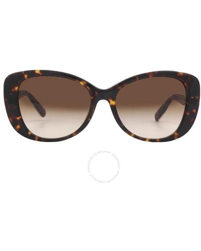 COACH Brown Gradient Butterfly Sunglasses Hc8322 51203b 54