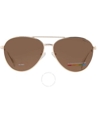Polaroid Polarized Bronze Pilot Sunglasses Pld 4142/g/s/x 001q/sp 60 - Brown