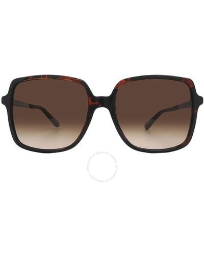 Michael Kors Isle Of Palms Brown Gradient Square Sunglasses Mk2098u 378113 56