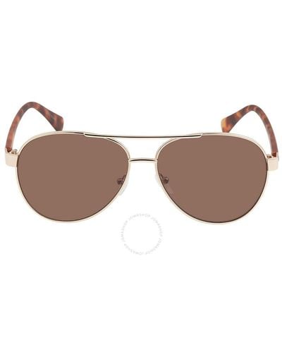 Calvin Klein Brown Pilot Sunglasses