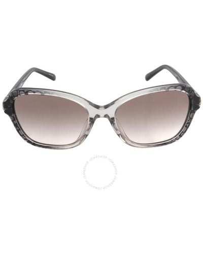 COACH Gray Pink Gradient Irregular Sunglasses Hc8349u 57103b 56 - Brown
