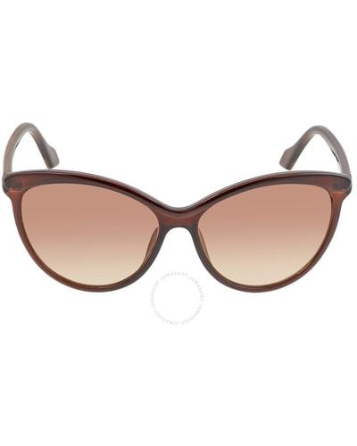 Calvin Klein Cat Eye Sunglasses Ck19534s 210 58 - Brown