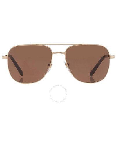 BVLGARI Brown Navigator Sunglasses Bv5059 202253 58