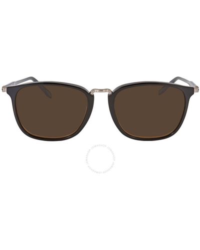 Ferragamo Brown Square Sunglasses