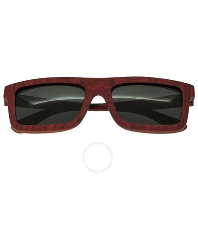 Spectrum Clark Wood Sunglasses - Brown