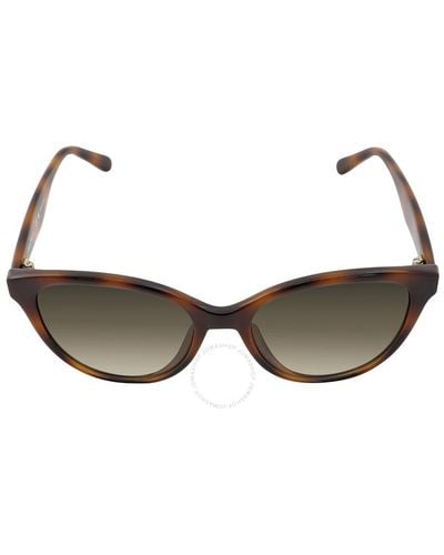 Ferragamo Gray Gradient Butterfly Sunglasses - Brown
