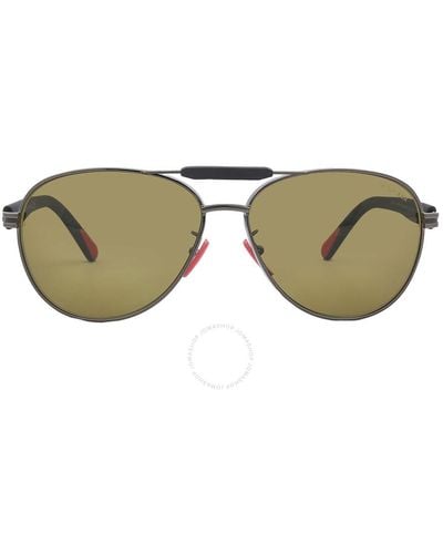 Moncler Steller Polarized Yellow Pilot Sunglasses Ml0241-h 08h 62 - Brown