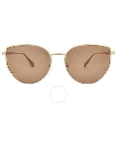 Calvin Klein Brown Cat Eye Sunglasses Ck22113s 718 58 - White