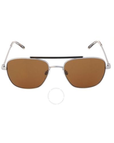 Calvin Klein Brown Navigator Sunglasses