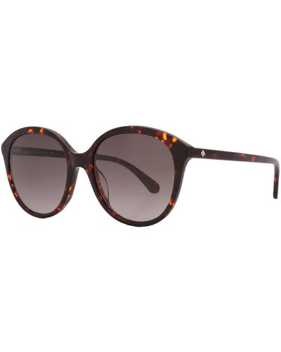 Kate Spade Gradient Oval Sunglasses Bria/g/s 0086/ha 55 - Brown