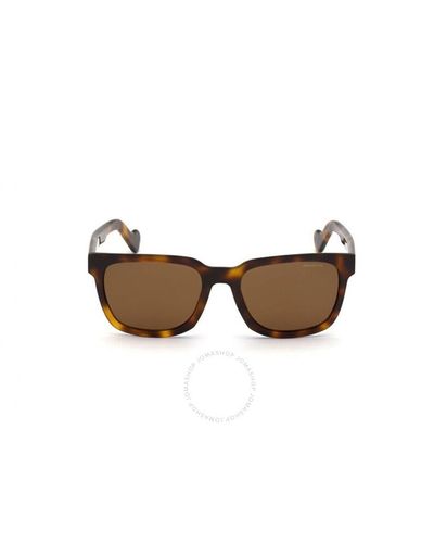 Moncler Polarized Square Sunglasses Ml0174 52h 57 - Brown