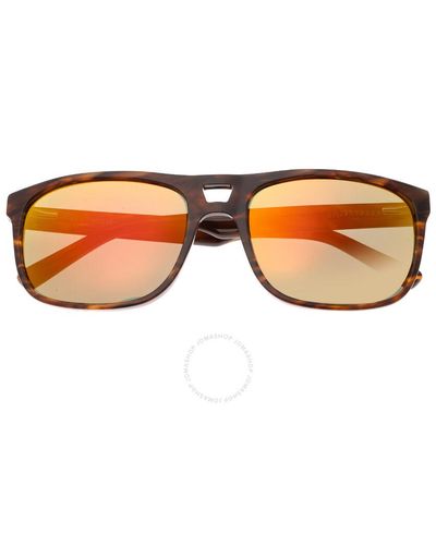 Sixty One Morea Square Sunglasses - Brown