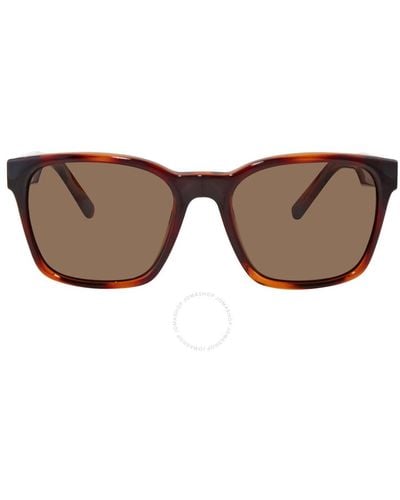 Ferragamo Square Sunglasses Sf959s 214 55 - Brown