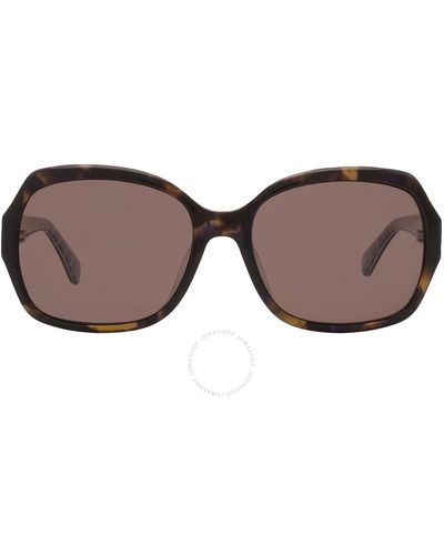 Kate Spade Polarized Bronze Butterfly Sunglasses Amberlynn/s 02vm/sp 57 - Brown