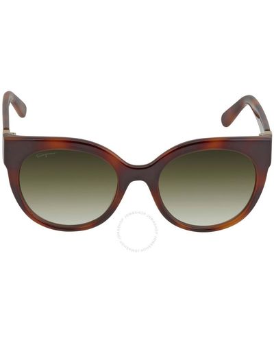 Ferragamo Cat Eye Sunglasses Sf1031s 214 53 - Brown