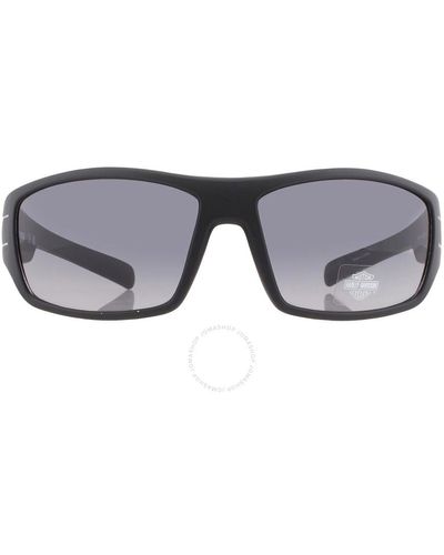 Harley Davidson Smoke Gradient Wrap Sunglasses Hd0151v 02b 63 - Gray
