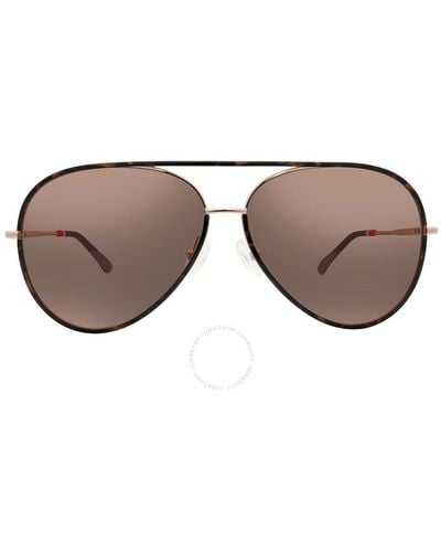 Orlebar Brown Brown Mirror Pilot Sunglasses