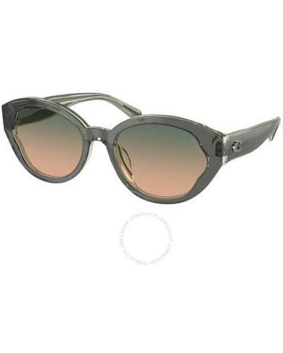 COACH Green Beige Gradient Oval Sunglasses Hc8364u 574613 55 - Grey