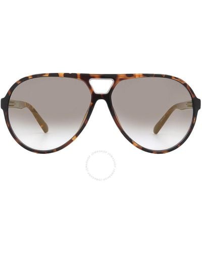 Guess Factory Brown Mirror Pilot Sunglasses Gf5070 52g 60