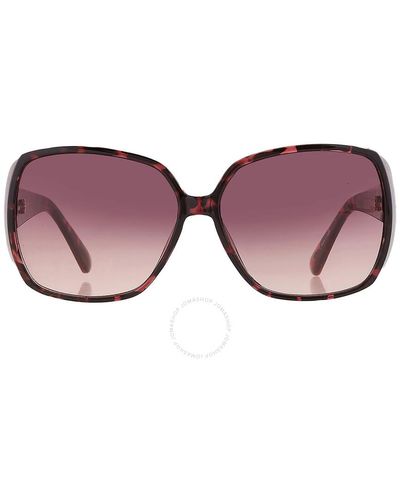 Guess Factory Bordeaux Gradient Butterfly Sunglasses Gf0426 54t 61 - Brown