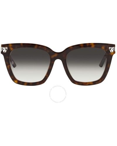 Cartier Grey Gradient Cat Eye Sunglasses Ct0025sa 002 - Brown