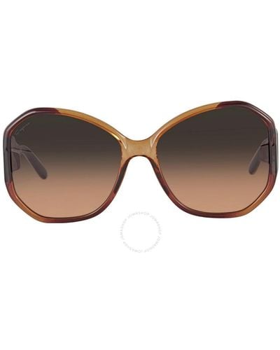 Ferragamo Brown Gradient Butterfly Sunglasses Sf942s 212