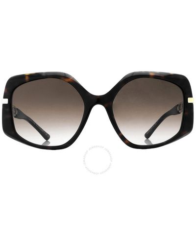 Michael Kors Cheyenne Brown Gradient Irregular Sunglasses Mk2177 300613 56