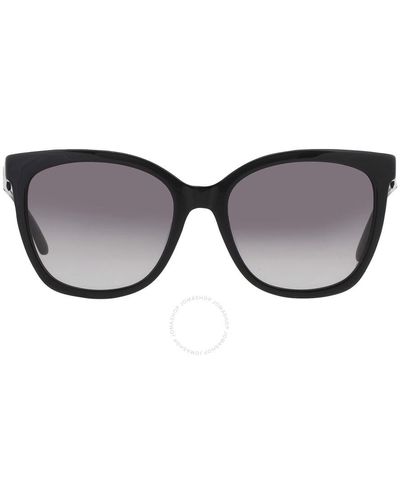 Calvin Klein Grey Gradient Butterfly Sunglasses Ck21703s 001 55 - Black