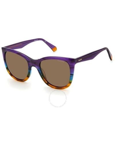 Polaroid Polarized Bronze Cat Eye Sunglasses Pld 4096/s/x 0dkt/sp 52 - Blue