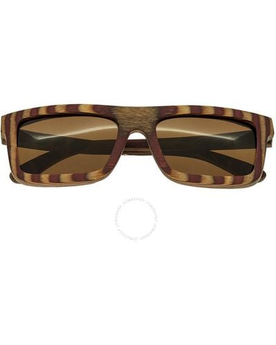 Spectrum Parkinson Wood Sunglasses - Brown