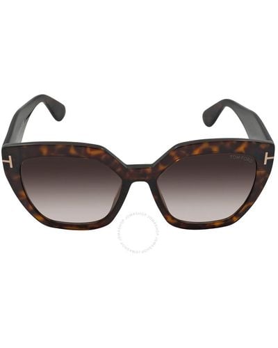 Tom Ford Gradient Roviex Square Sunglasses - Brown